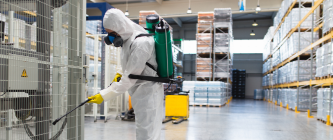 Guarding Your Goods: Expert Tips for Pest Prevention in Food Processing Plants